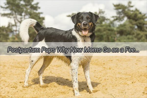 Postpartum Pups Why New Moms Go on a Feeding Frenzy